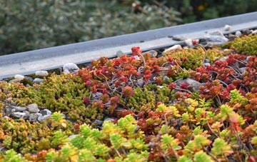 the cost of Rodley green roof installation