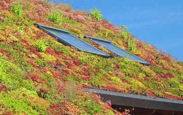 Rodley living roof systems
